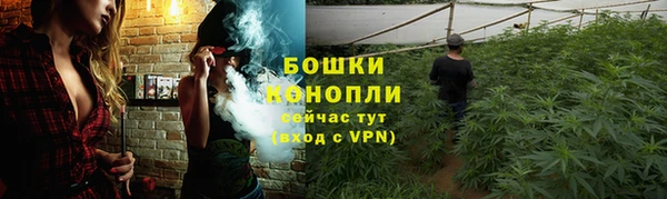 ECSTASY Новокубанск